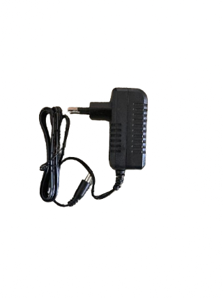 Ladegerät für Kinder Elektroauto 12V